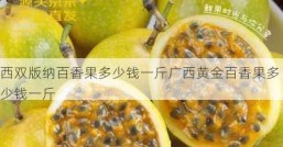 西双版纳百香果多少钱一斤广西黄金百香果多少钱一斤