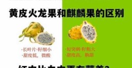 火龙果几年挂果种火龙果要等几年才能吃到果子