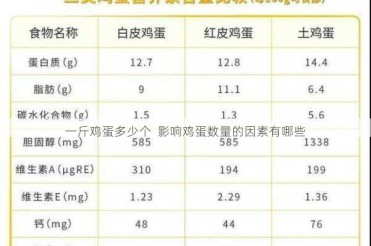 一斤鸡蛋多少个  影响鸡蛋数量的因素有哪些