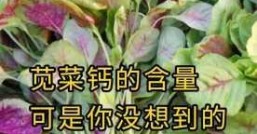 红苋菜，到底有多营养