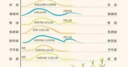 麦子几月成熟 春小麦成熟时间又是什么时候