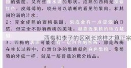 西梅和李子的区别长啥样才算正宗