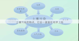 土壤污染的特点，它会一直留在地球上吗