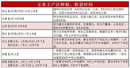 玉米收获时间，到底该什么时候收才最合适