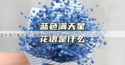 蓝色满天星花语，那送给成年人合适吗