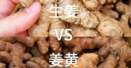 姜黄和生姜的区别它们到底哪个更厉害