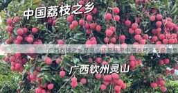 广西荔枝之乡是灵山还是桂平中国荔枝之乡是哪里