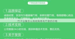 竹子出售怎么找收购商毛竹苗的价格