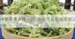 伸筋草多少钱一斤  听说市场价能卖到20块