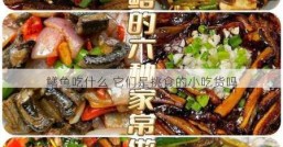 鳝鱼吃什么 它们是挑食的小吃货吗