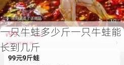 一只牛蛙多少斤一只牛蛙能长到几斤