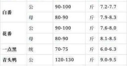 鸭子多少钱一只一只1100克的鸭子要85元