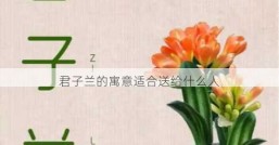 君子兰的寓意适合送给什么人