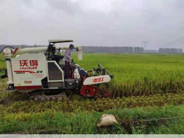 农机批发哪个平台更值得你信赖第1张-蔬菜基地绿色种植产业带