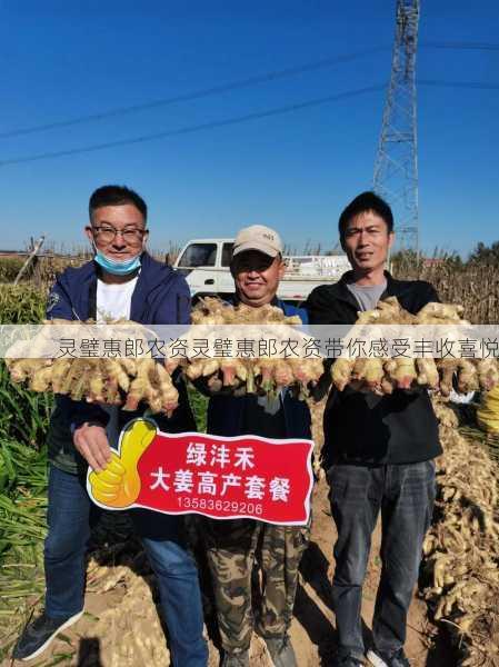 灵璧惠郎农资灵璧惠郎农资带你感受丰收喜悦第2张-蔬菜基地绿色种植产业带