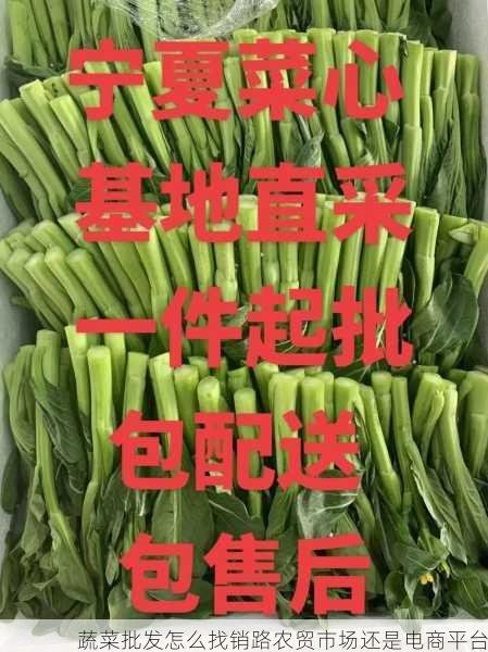 蔬菜批发怎么找销路农贸市场还是电商平台第2张-蔬菜基地绿色种植产业带