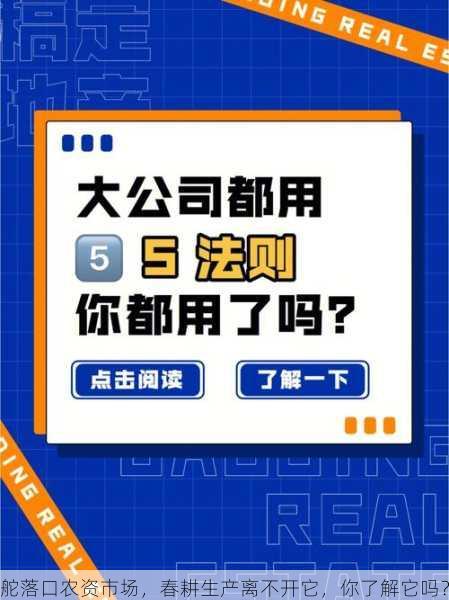 舵落口农资市场，春耕生产离不开它，你了解它吗？第1张-蔬菜基地绿色种植产业带