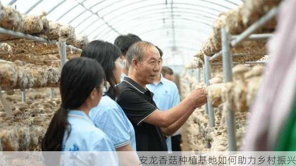 安龙香菇种植基地如何助力乡村振兴第1张-蔬菜基地绿色种植产业带