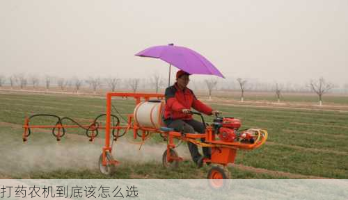 打药农机到底该怎么选第1张-蔬菜基地绿色种植产业带