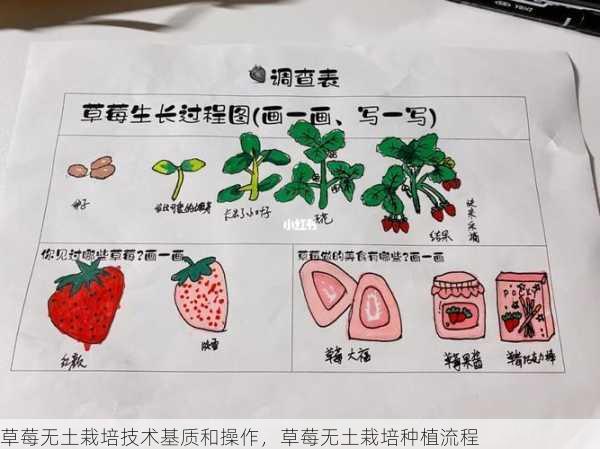 草莓无土栽培技术基质和操作，草莓无土栽培种植流程第2张-蔬菜基地绿色种植产业带