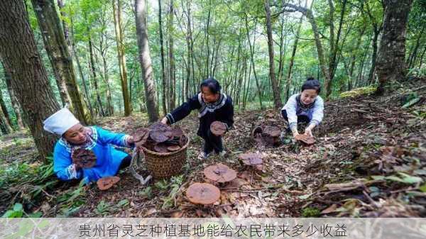 贵州省灵芝种植基地能给农民带来多少收益第2张-蔬菜基地绿色种植产业带