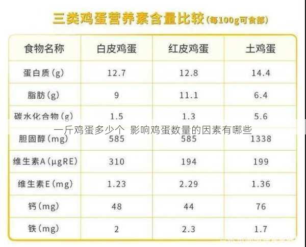 一斤鸡蛋多少个  影响鸡蛋数量的因素有哪些第1张-蔬菜基地绿色种植产业带