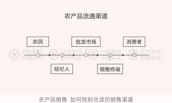 农产品销售  如何找到合适的销售渠道第2张-蔬菜基地绿色种植产业带