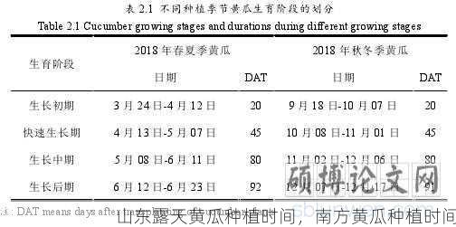 山东露天黄瓜种植时间，南方黄瓜种植时间第2张-蔬菜基地绿色种植产业带