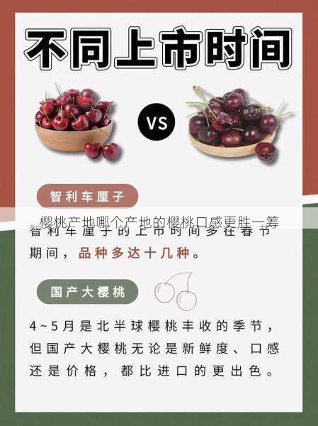 樱桃产地哪个产地的樱桃口感更胜一筹第2张-蔬菜基地绿色种植产业带