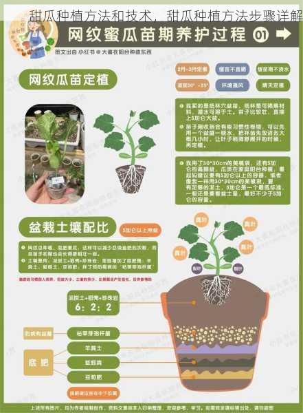 甜瓜种植方法和技术，甜瓜种植方法步骤详解第2张-蔬菜基地绿色种植产业带