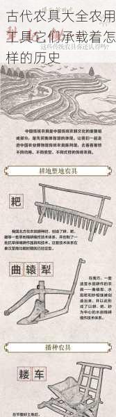 古代农具大全农用工具它们承载着怎样的历史第2张-蔬菜基地绿色种植产业带