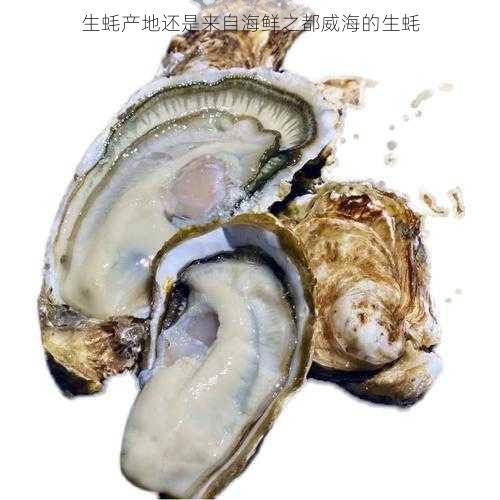 生蚝产地还是来自海鲜之都威海的生蚝第1张-蔬菜基地绿色种植产业带