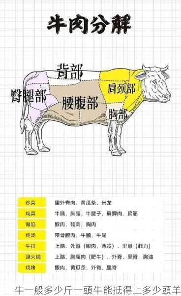 牛一般多少斤一頭牛能抵得上多少頭羊第1张-蔬菜基地绿色种植产业带