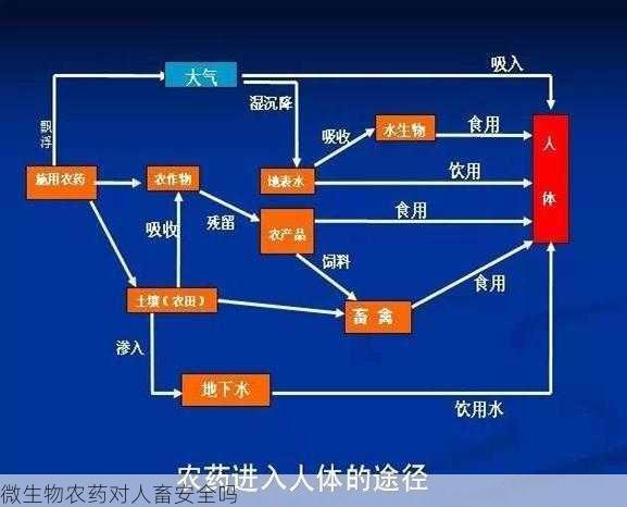 微生物农药对人畜安全吗第2张-蔬菜基地绿色种植产业带