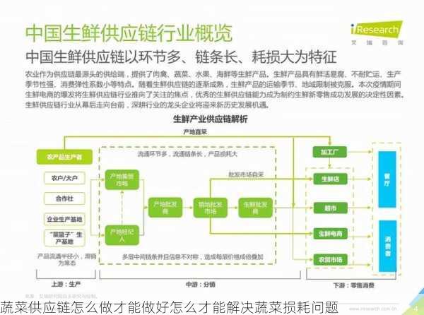 蔬菜供应链怎么做才能做好怎么才能解决蔬菜损耗问题第1张-蔬菜基地绿色种植产业带