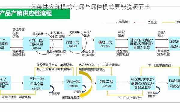蔬菜供应链模式有哪些哪种模式更能脱颖而出第2张-蔬菜基地绿色种植产业带
