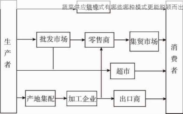 蔬菜供应链模式有哪些哪种模式更能脱颖而出第1张-蔬菜基地绿色种植产业带
