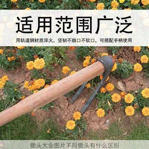 锄头大全图片不同锄头有什么区别第2张-蔬菜基地绿色种植产业带