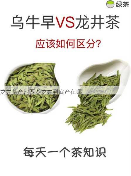 龙井茶产地西湖龙井到底产在哪第1张-蔬菜基地绿色种植产业带