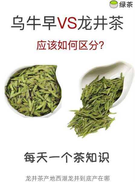 龙井茶产地西湖龙井到底产在哪第2张-蔬菜基地绿色种植产业带