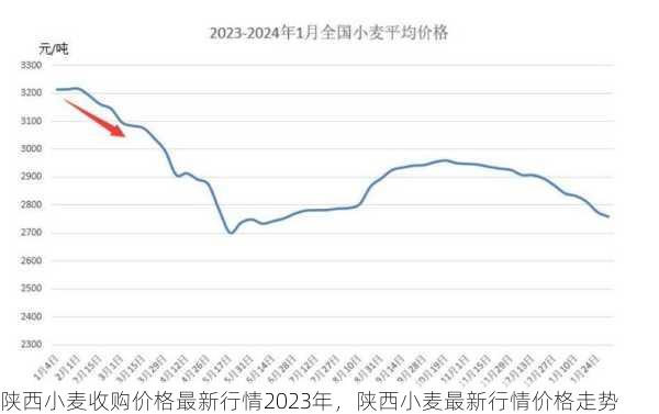 陕西小麦收购价格最新行情2023年，陕西小麦最新行情价格走势第1张-蔬菜基地绿色种植产业带