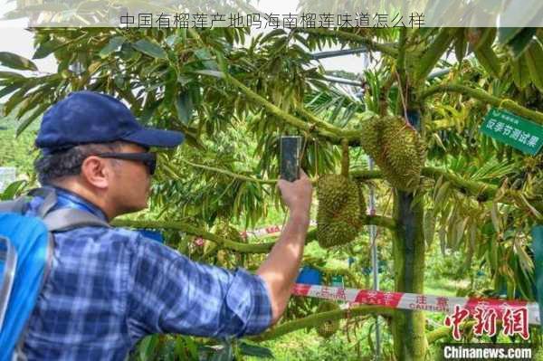 中国有榴莲产地吗海南榴莲味道怎么样第2张-蔬菜基地绿色种植产业带