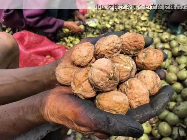 中国核桃之乡哪个地方的核桃最甜第1张-蔬菜基地绿色种植产业带