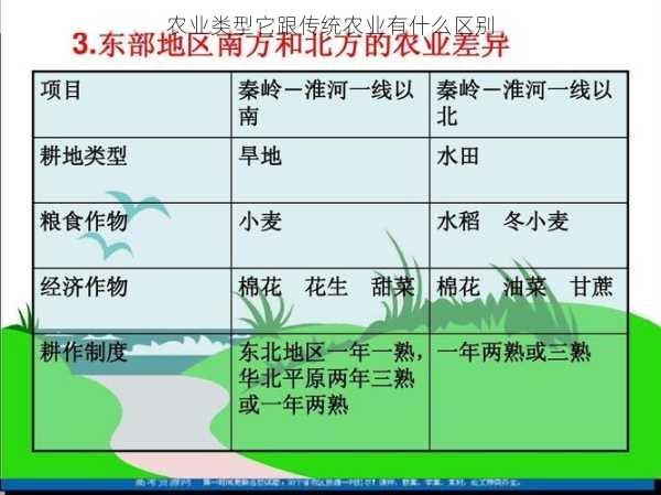 农业类型它跟传统农业有什么区别第2张-蔬菜基地绿色种植产业带