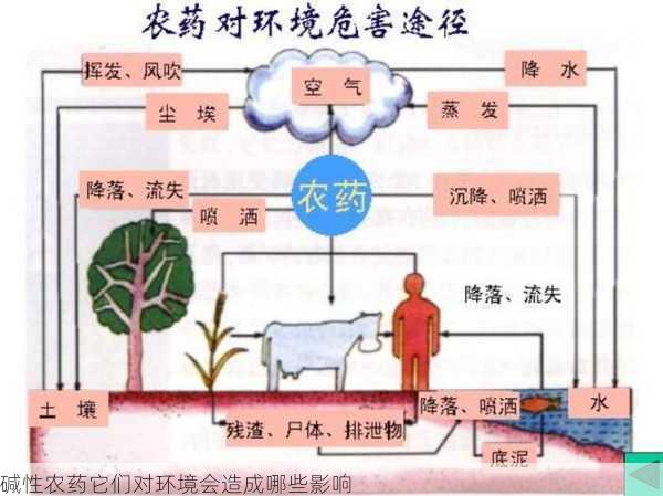 碱性农药它们对环境会造成哪些影响第1张-蔬菜基地绿色种植产业带