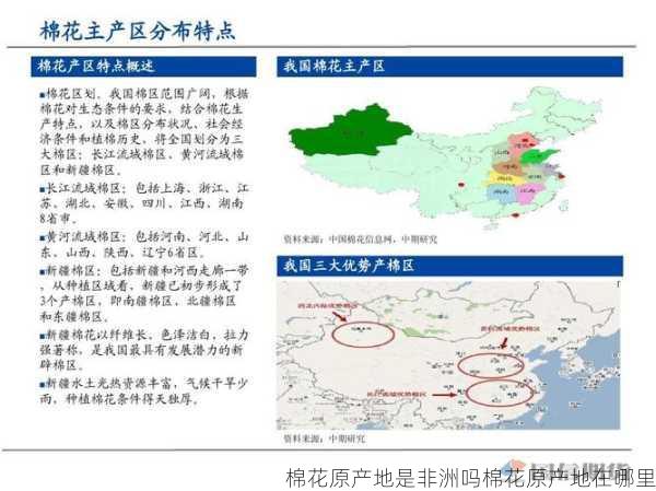 棉花原产地是非洲吗棉花原产地在哪里第1张-蔬菜基地绿色种植产业带