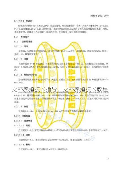 龙虾养殖技术指导，龙虾养殖技术教程第1张-蔬菜基地绿色种植产业带