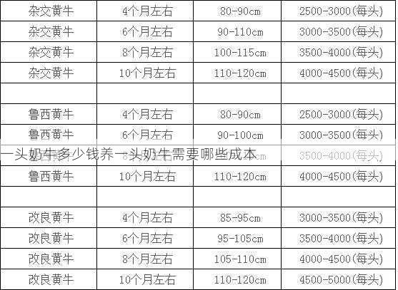 一头奶牛多少钱养一头奶牛需要哪些成本第1张-蔬菜基地绿色种植产业带