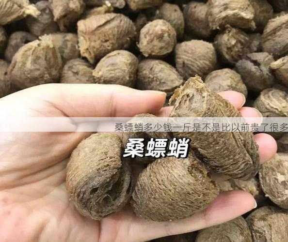 桑螵蛸多少钱一斤是不是比以前贵了很多第1张-蔬菜基地绿色种植产业带