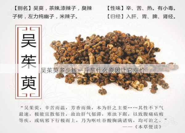 吴茱萸多少钱一斤是什么原因让它涨价第1张-蔬菜基地绿色种植产业带